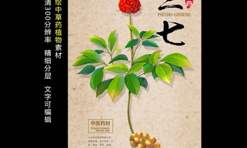 殷桃个人资料简历简介-殷桃功效网- 殷桃的简历个人简介知识,分享殷桃水果