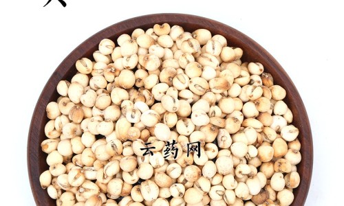 殷桃功效网- 殷桃的简历个人简介知识,分享殷桃水果